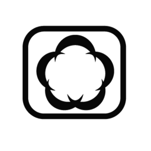 Brandraz Favicon (1)